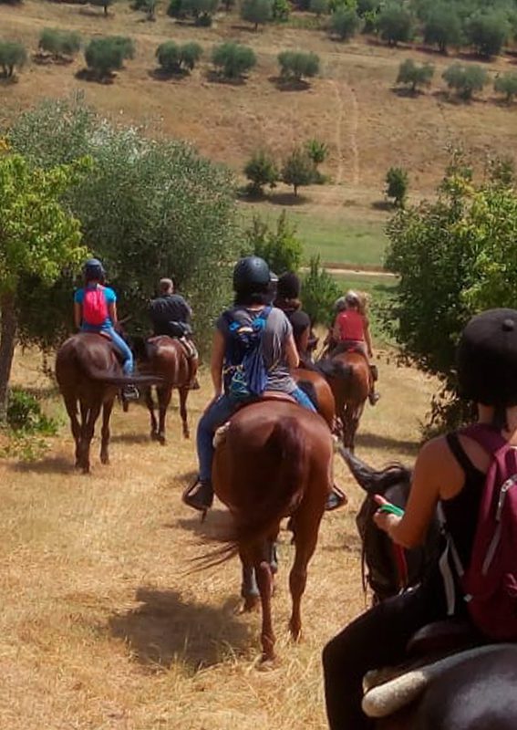 Passeggiate a cavallo